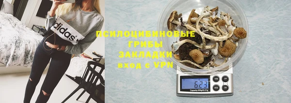 индика Беломорск