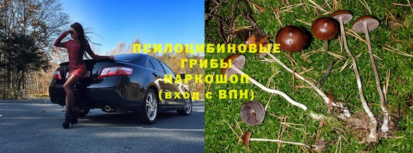 индика Белоозёрский