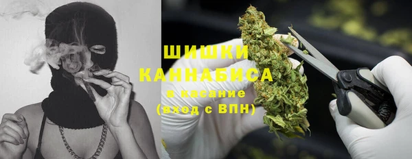 индика Белоозёрский