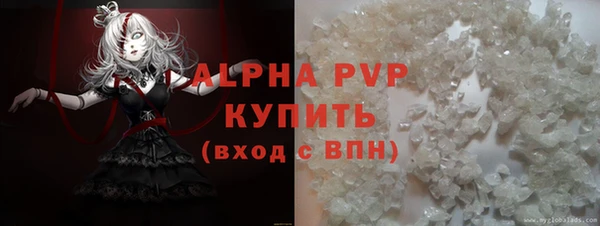 индика Белоозёрский