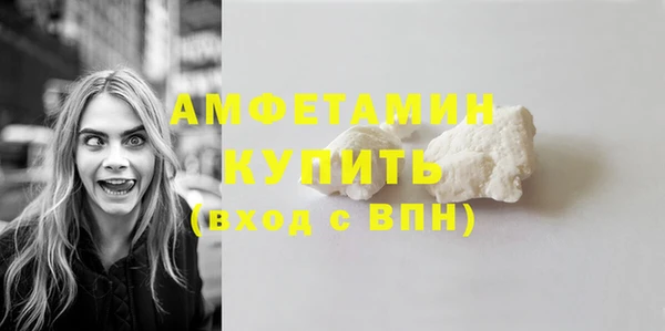 индика Беломорск