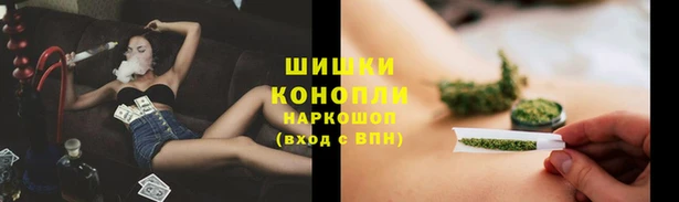 прущий лед Богородицк