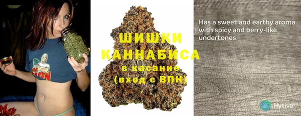 прущий лед Богородицк