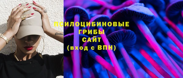 таблы Белокуриха