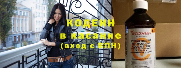 индика Беломорск