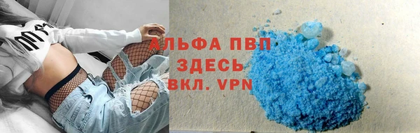 индика Белоозёрский