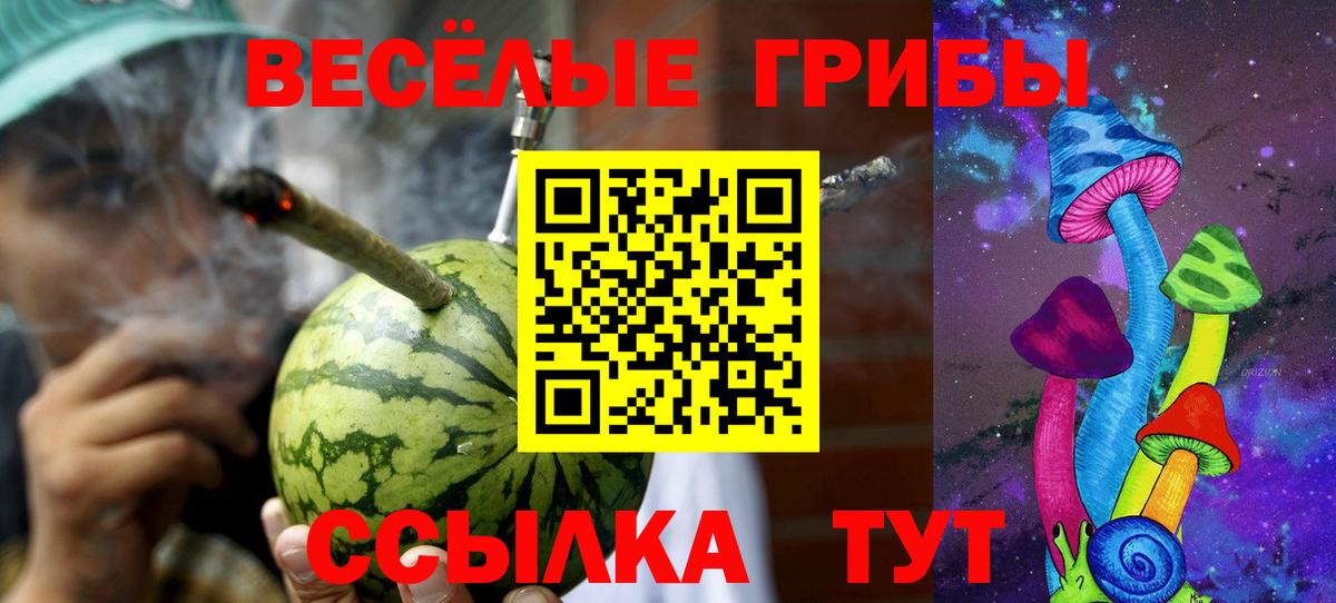 Псилоцибиновые грибы мицелий Воркута